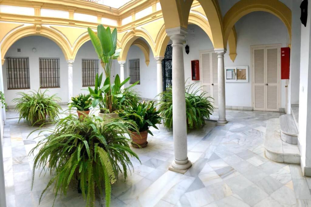 Gatu Villa Palma, Aire Acc Y Confort En El Centro Historico, " Preferente Mayores De 25 Anos Y Familias " Ел Пуерто де Санта Мария Екстериор снимка