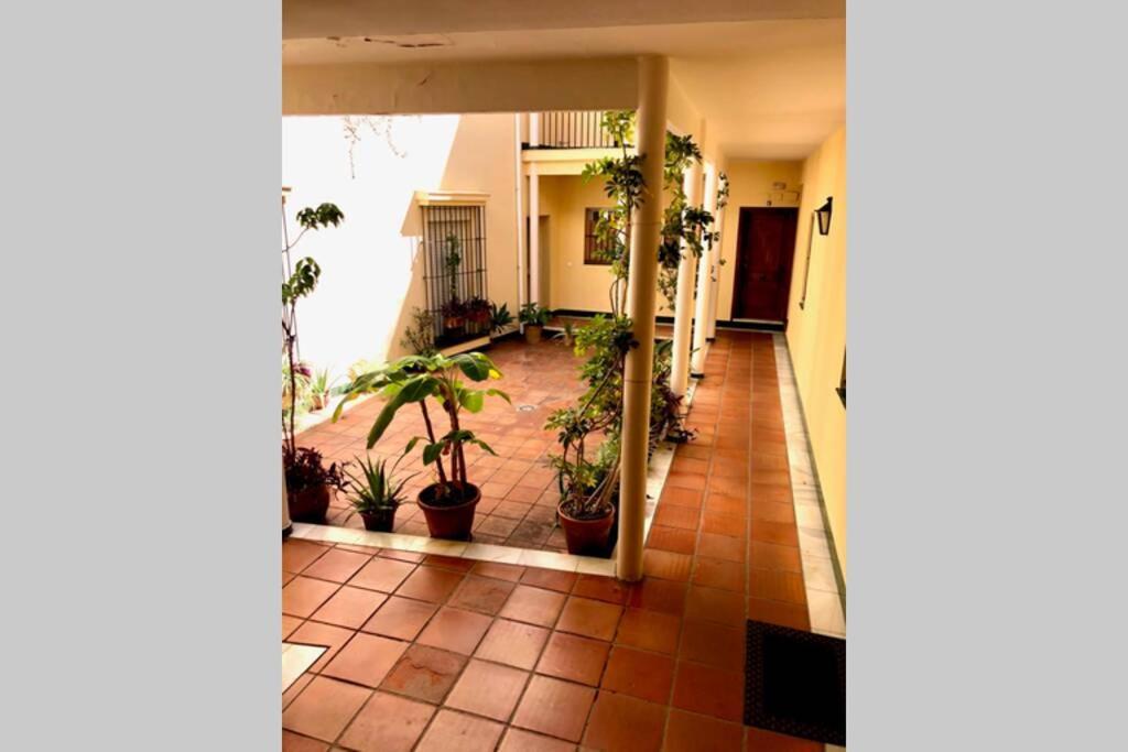 Gatu Villa Palma, Aire Acc Y Confort En El Centro Historico, " Preferente Mayores De 25 Anos Y Familias " Ел Пуерто де Санта Мария Екстериор снимка